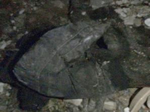 Toruń: Ekipa Krzysztofa Rutkowskiego wznowiła poszukiwania Remigiusza Baczyńskiego