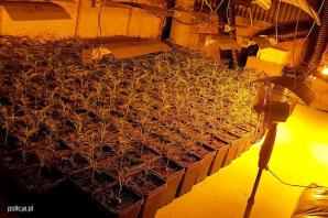 [VIDEO] Policjanci zabezpieczyli narkotyki warte ponad 10 mln zł