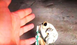 [VIDEO] Odrąbali Jezuskowi i św. Józefowi głowy. Tak grożą śmiercią w Gostomii!