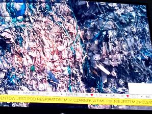 [VIDEO] RUTKOWSKI: Wrocławski „Tulipan” Tomasz K. ma iść do więzienia. Tak zdecydował, po dostarczeniu argumentów, Sąd Rejonowy w Środzie Śląskiej!