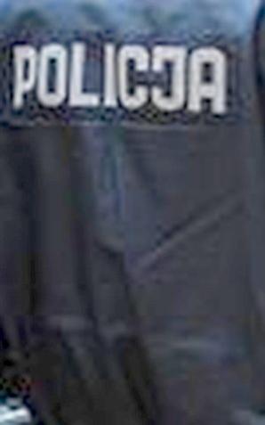 [VIDEO] Przedkładali sfałszowane dokumenty, aby uniknąć kary za przestępstwa w Polsce