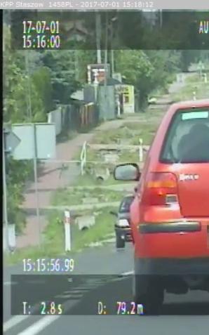 Kielce: Pijany 71-latek wyprzedzał na pasach! 