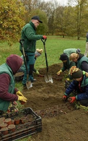 Podsumowanie sezonu 2019 w Ogrodzie Botanicznym w Łodzi