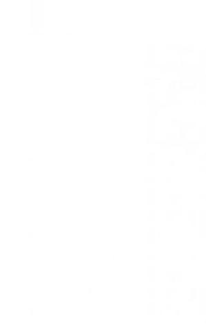 9 ofiarą koronawirusa w Polsce Ksiądz Henryk Borzęcki, proboszcz parafii Białopole w  Diecezji Zamojsko-Lubaczowskiej. To z tego powodu probostwo i Kościół w sąsiednich Trzeszczanach są zamknięte