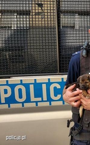 Porzucone szczeniaki znalazły dom wśród kutnowskich policjantów