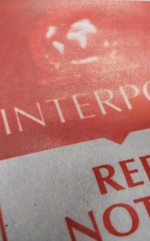 Poszukiwany Pakistańczyk, który podróżował z Irlandii, zatrzymany. Cudzoziemiec poszukiwany był ENA, wydanym przez Wielką Brytanię