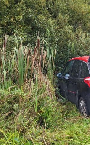 Niesprytni Gruzini z pechowymi Irańczykami w rękach straży granicznej