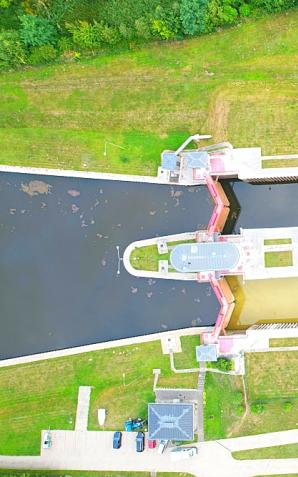 [VIDEO] Sukces polskich naukowców – znaleźli sposób na złotą algę