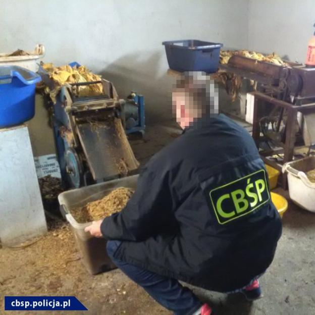 Kalisz: Zlikwidowane kolejne linie produkujące krajankę tytoniową