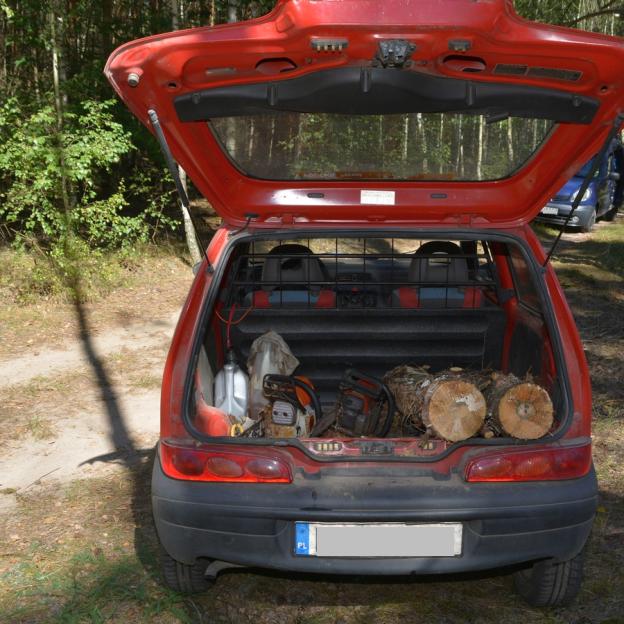 Zrobili las na czerwonego fiata