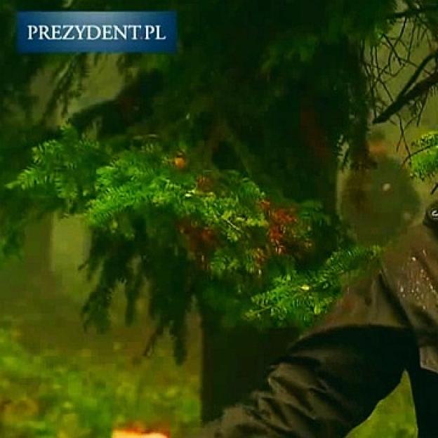 [VIDEO]  Na terenie Nadleśnictwa Suchedniów Prezydent RP Andrzej Duda wraz z Małżonką Agatą Kornhauser-Dudą wzięli udział w V edycji ogólnopolskiej akcji sadzenia drzew #sadziMY