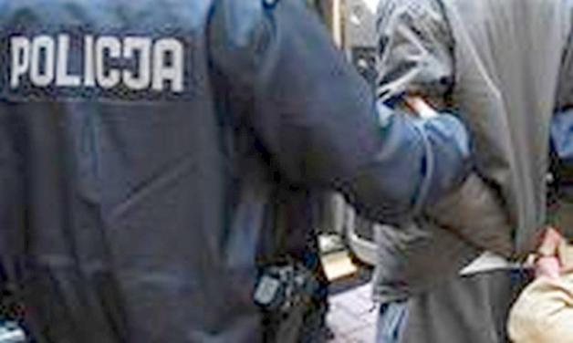 [VIDEO] Przedkładali sfałszowane dokumenty, aby uniknąć kary za przestępstwa w Polsce