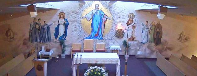 [VIDEO] Słowo na niedzielę 8 lipca i Msza Św. z Chicago