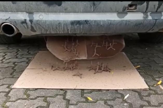 [VIDEO] Przemytnicy się zbroją. Audi z systemem anty pościgowym i towar za 324 tyś w rękach SG